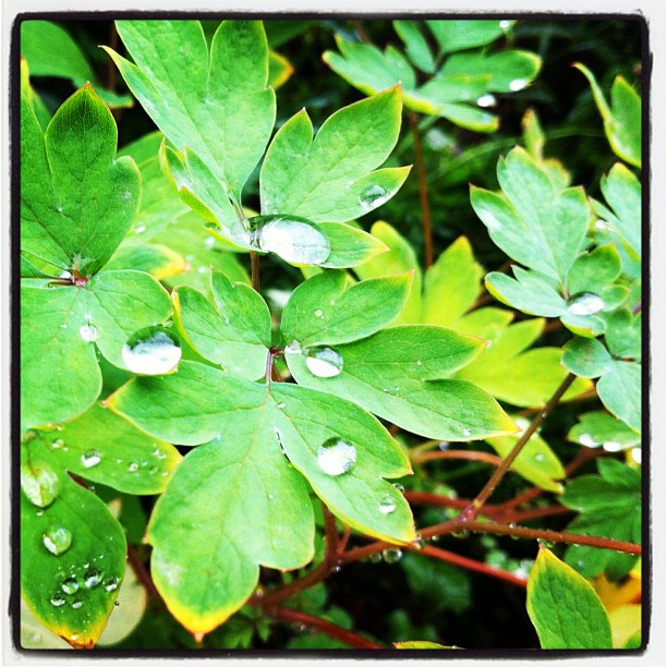 梅雨の晴れ間