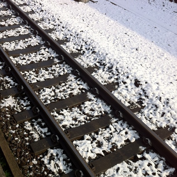 こんくらいでも積雪は嬉しい