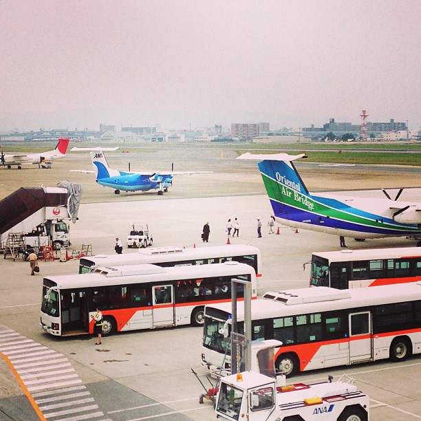 友人を見送りに空港。空港なんだかバス停なんだか。