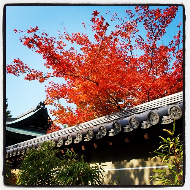 Kodaiji, Kyoto