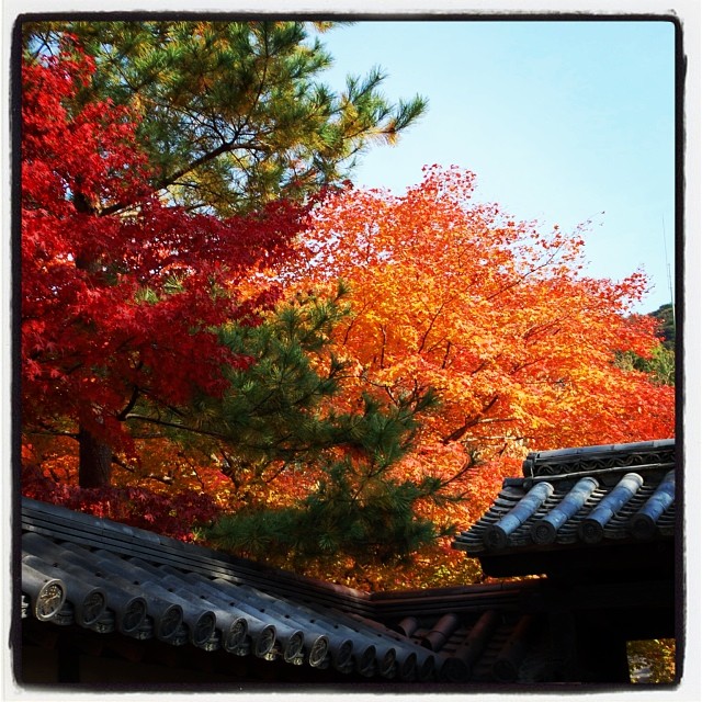 Kodaiji, Kyoto