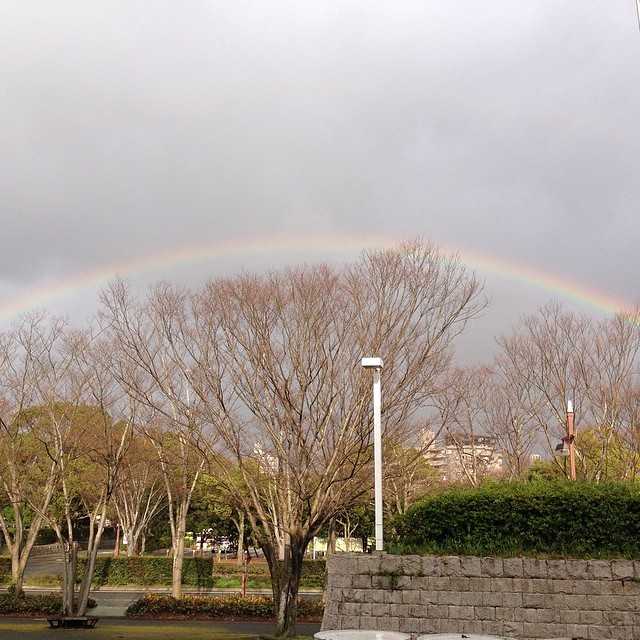 After the cold rain like winter, got a beautiful gift from the sky!