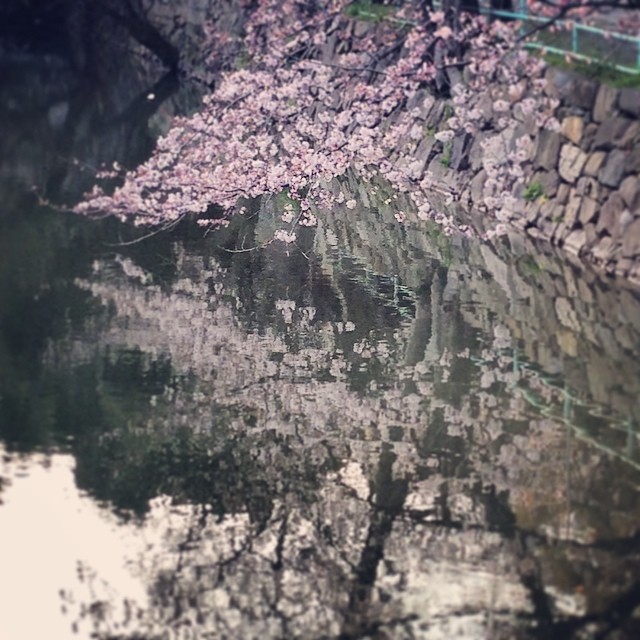 mirrored spring