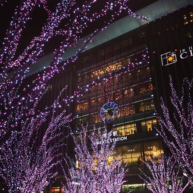 一足早く、夜桜。