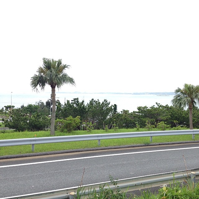 湿度高い。雨は降ってないのでラッキーなのでしょね。