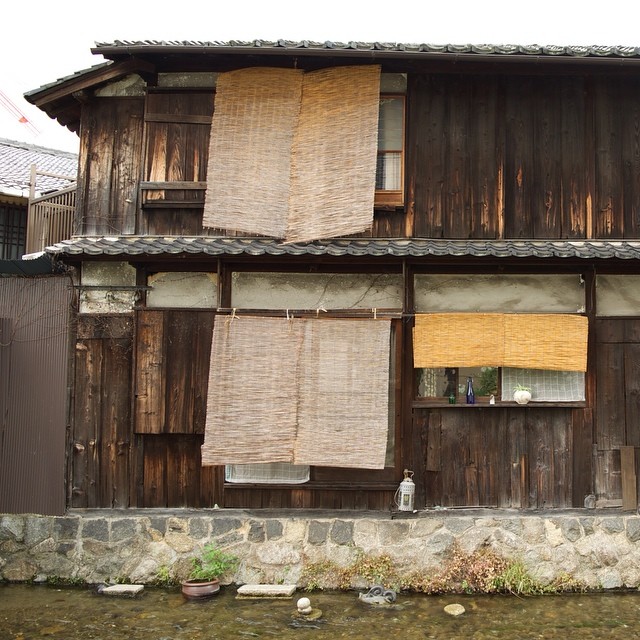 03 Aug 2014, Kyoto, walking along Shirakawa stream.