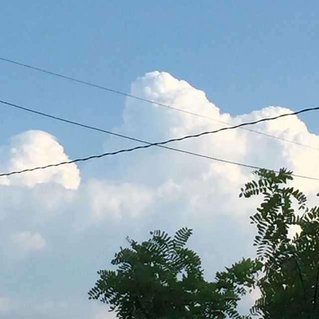 「今日から夏始めました」と、空も。#ウチの庭