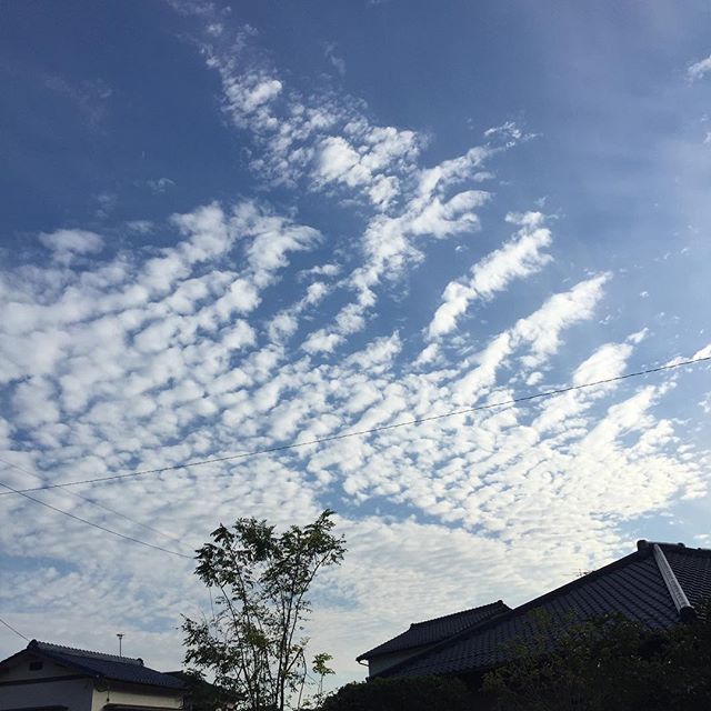 秋ですなあ。The clouds telling me that autumn has come.