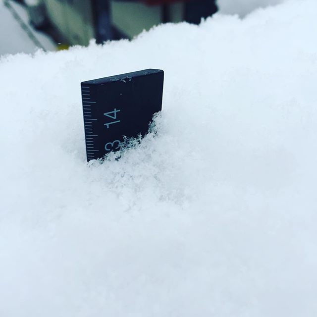 積雪、増してます。 #ウチの庭