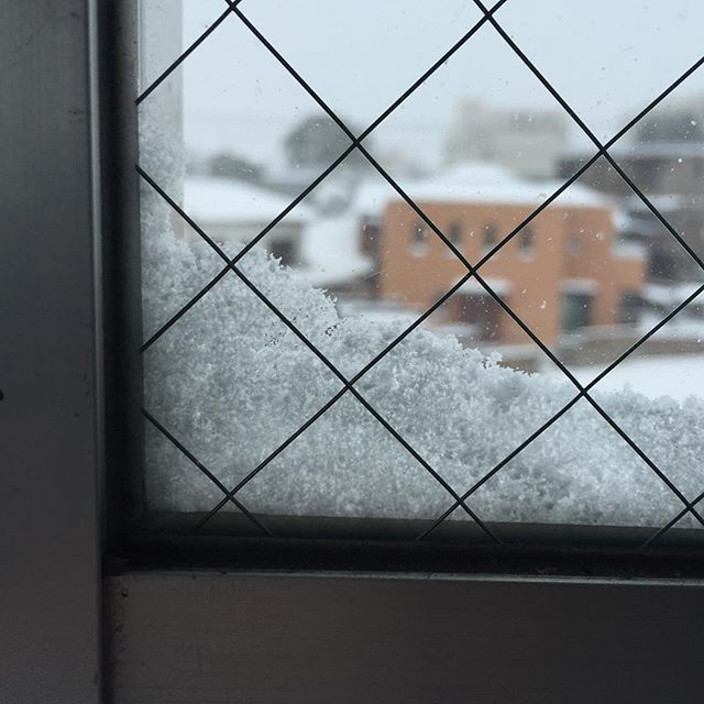 よーく見ると雪の結晶が見えるよ。