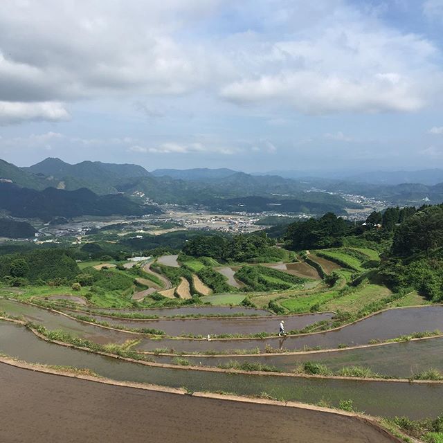 田植え準備中のようです。