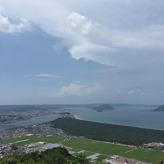 山から見ても虹の松原は広大。