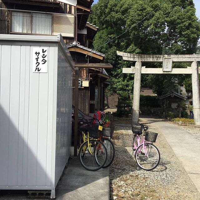 自転車で島を一周してみます。