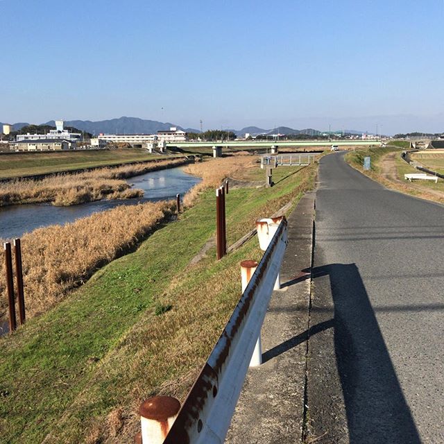 天気がいいので川沿いを散歩するよ。