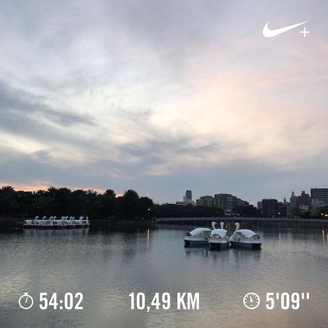 寒い方がタイム良くなるみたい。ハクチョウさんは３羽で相談中。#ランニング #running #ジョギング #jogging #nrc #大濠公園