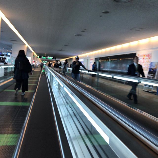 そして移動のため、空港に。偶然に黄色い飛行機を捕獲！#今日の一点透視図法