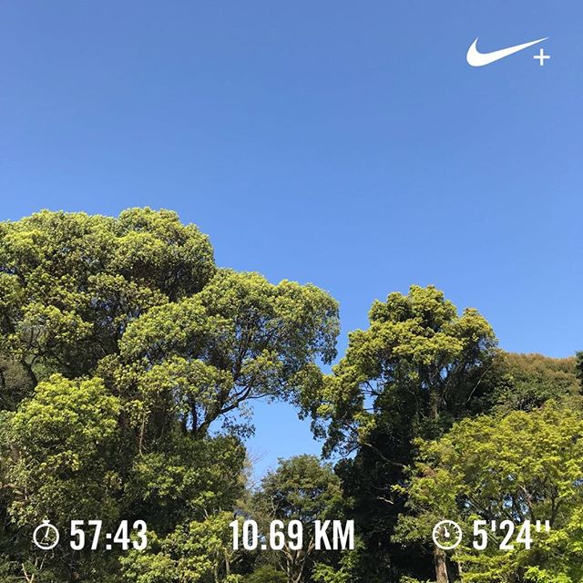 きもちいーねー。ちなみにNIKEのランニングアプリによると、今日のこのランニングで500kcalくらい消費したそうだ。#nrc #ハシリマスタグラム #running