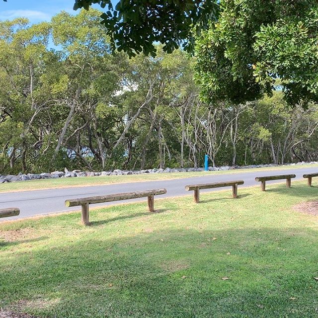 ちょっと先の公園ではこんな鳥が。鳴き声を聞いてみてね。