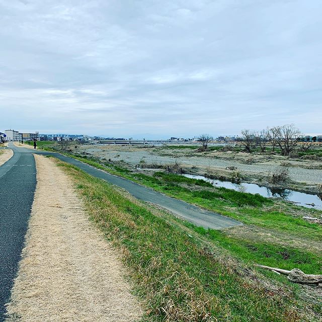 せっかく25km走ったのにアプリの不調か、記録が残らず。。Ran 25km but the app had a problem and the record disappeared.. #running #run #ランニング #多摩川 #今日の一点透視図法