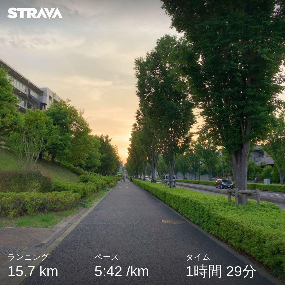 歩道がね、ゆったりひろびろニュータウン。#running #今日の五七五　#今日の一点透視図法